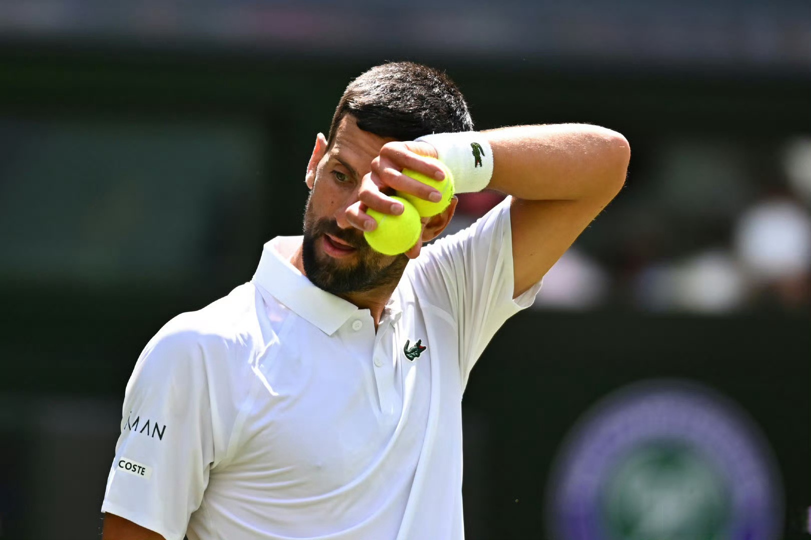 温网横扫ATP总决赛，德约科维奇统治全场