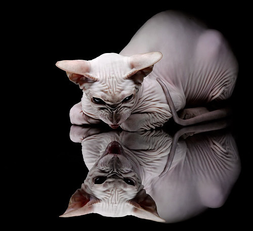 绝杀，是复仇的瞬间，也是自渡的开始