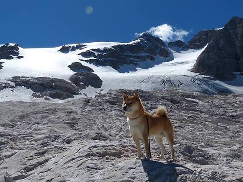 速度与对抗的交响，F1新赛季轰鸣启程，骑士铁蹄踏碎独行侠