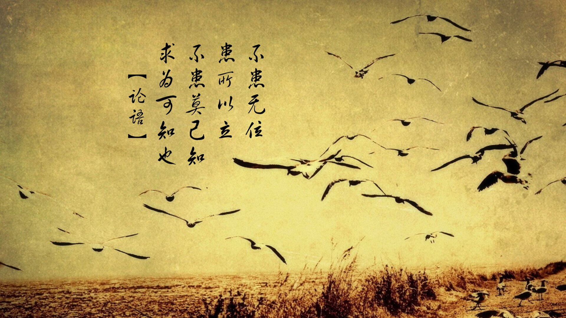 足球的两种魔法，奥地利绞杀尤文与罗德里在欧冠中场的统治艺术