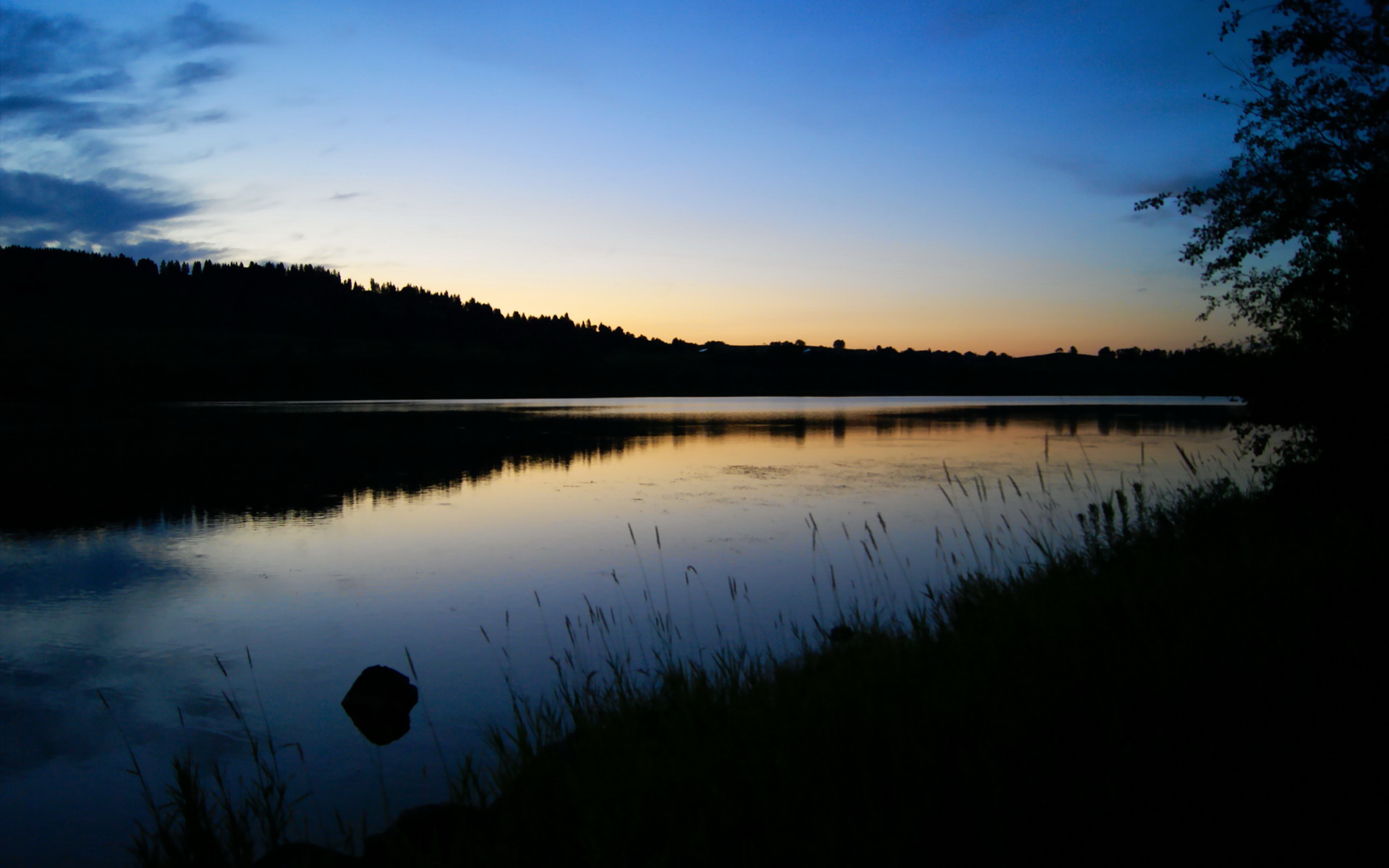 跨越大洋的篮板球,小贾伦生死时刻的跨洋宣言