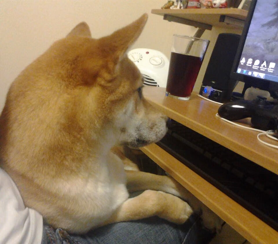 巴洛克式的终场哨，当若日尼奥的点球，为克罗地亚奏响佛罗伦萨的挽歌