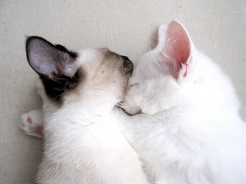 终场哨响前，他变走了胜利，乔治魔术戏法评分拉满夜