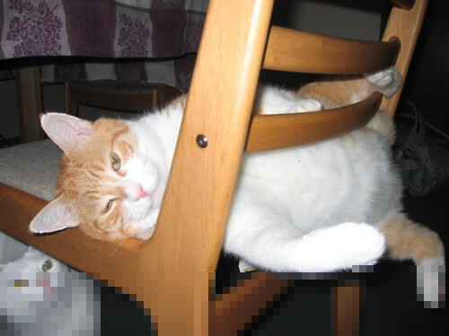 无声的咆哮,当拜仁的白色机器轰鸣时,巴斯托尼的寂静革命划破夜空