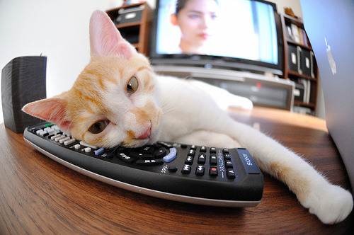 格纳布里,撕裂暗夜的那一道电光,让阿尔及利亚式铁血在欧陆绽放