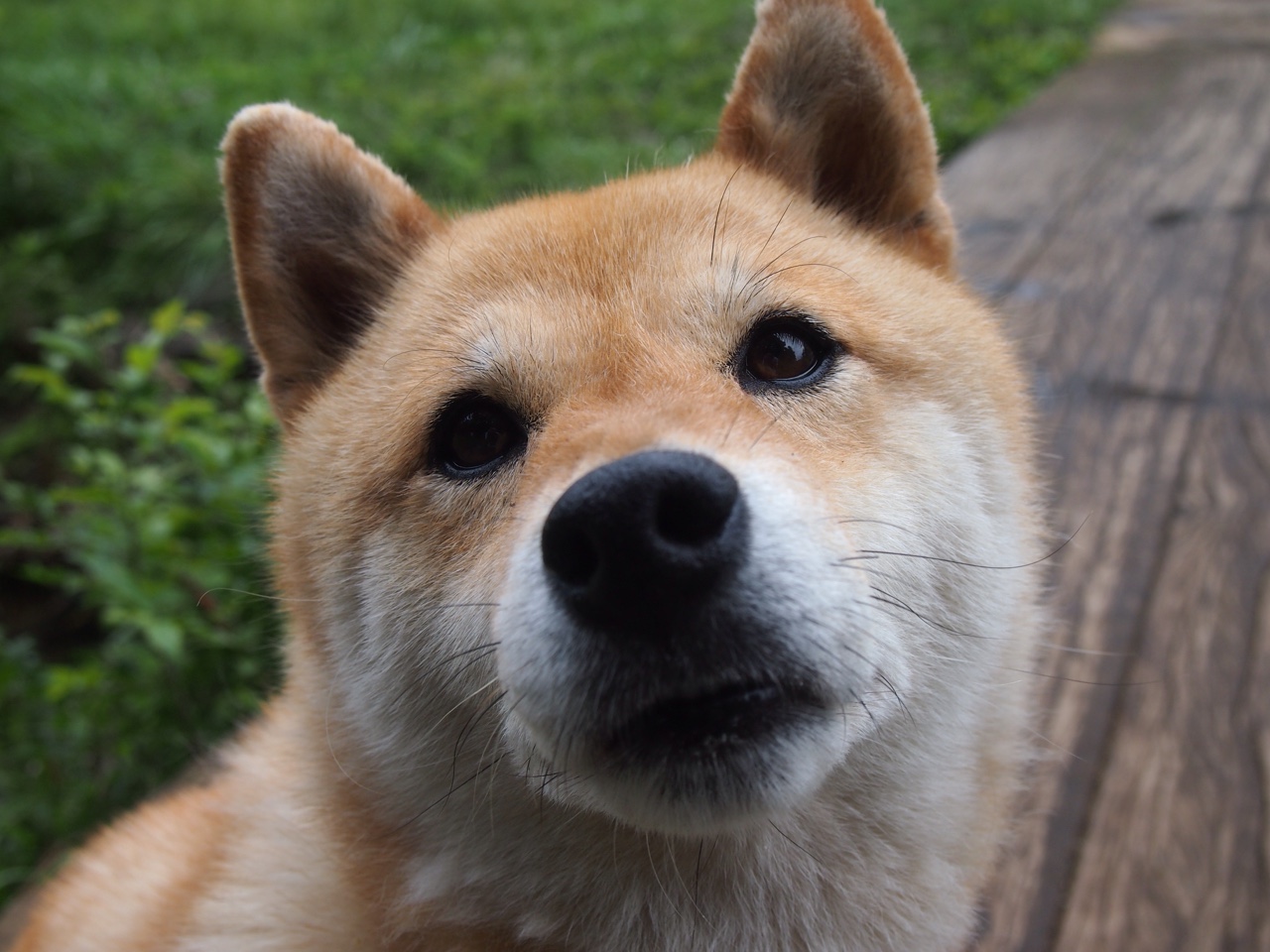 惊涛与磐石,当洪都拉斯的洪流冲垮雷恩,范戴克写下防守教科书