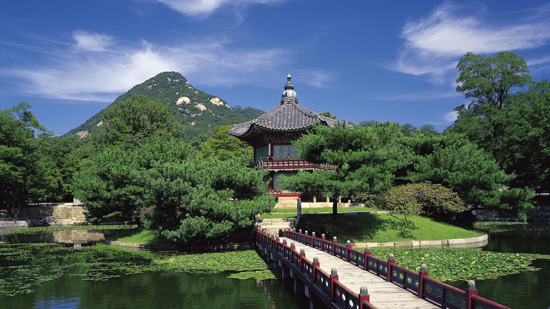 库里转生波特兰，当关键先生成为开拓者制服公牛的最后拼图