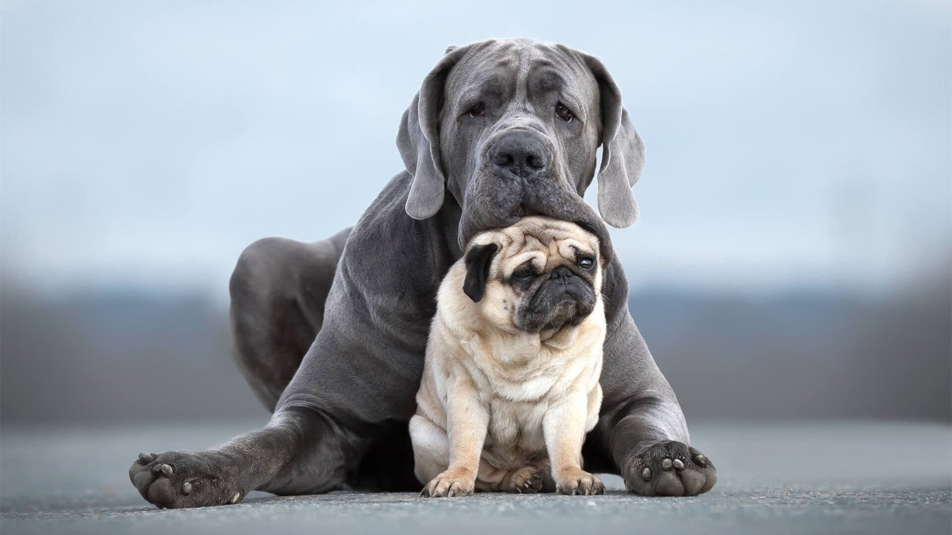 双刀赴会！武切维奇首献绝杀，热火硬仗破开拓者