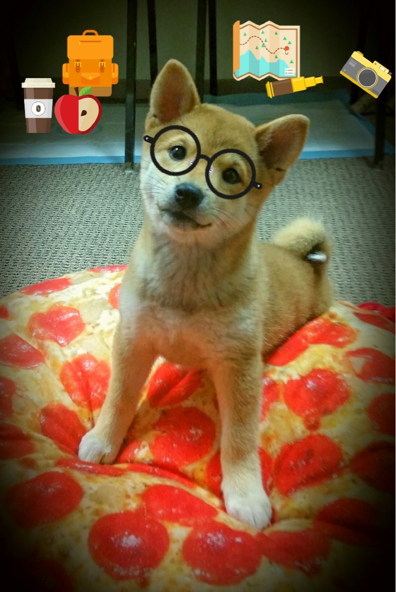 跨越时空的焦点,当2020湖人提前终结1998公牛的东决赛点