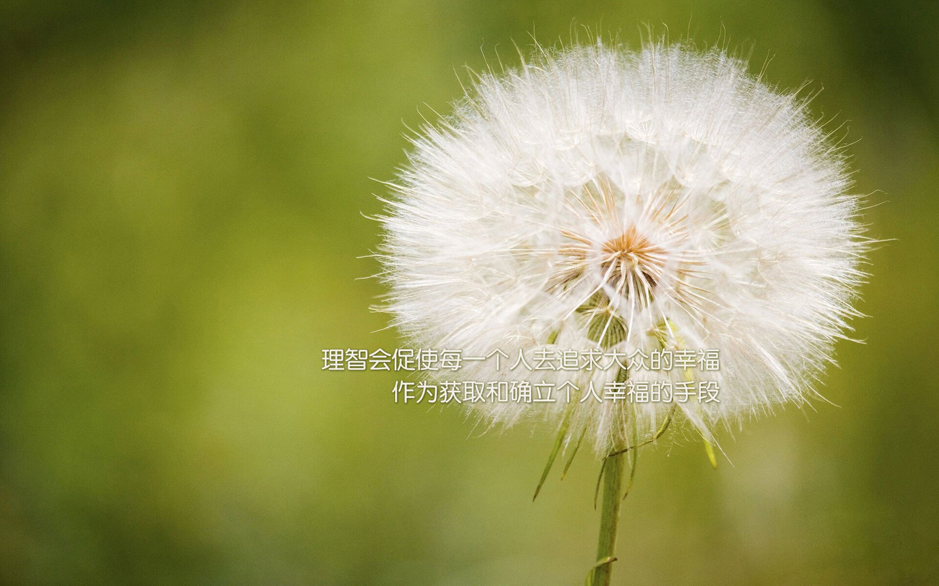 F1引擎轰鸣之夜，特奥如红色闪电刺穿蓝色防线