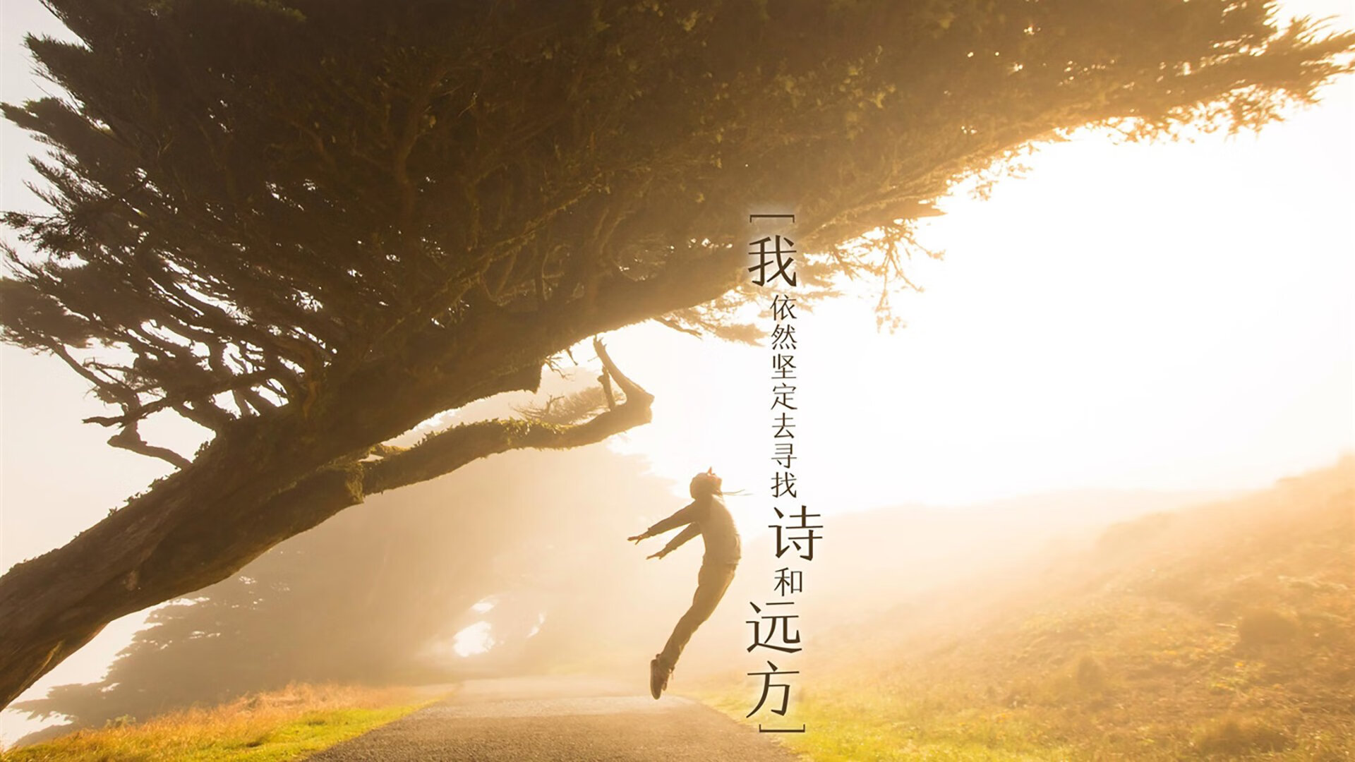 冰与火之歌，2026世界杯F组，C罗的终章与泰国的破冰之夜