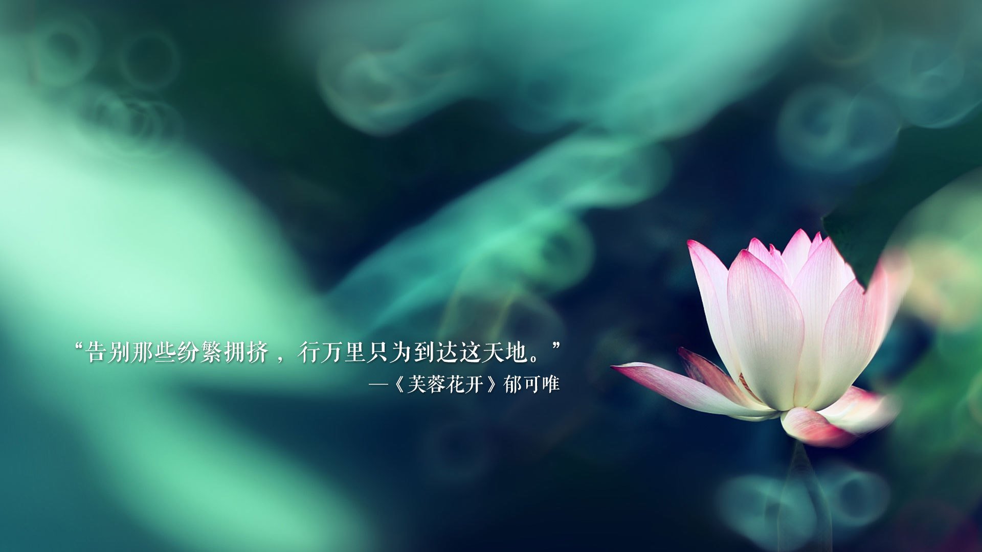 扩展(多角度候选)